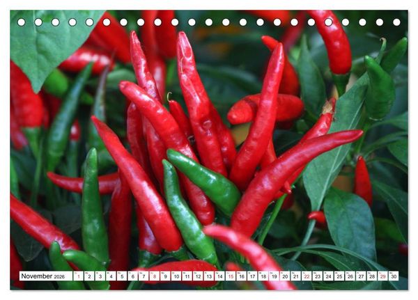 Produktbild: F&uuml;r Chili Liebhaber (Tischkalender 2026 DIN A5 quer), CALVENDO Monatskalender