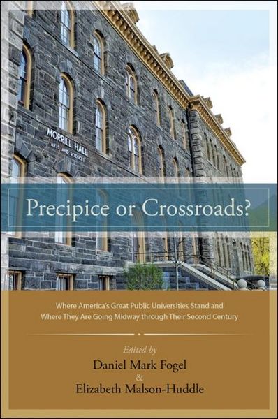 Produktbild: Precipice or Crossroads?