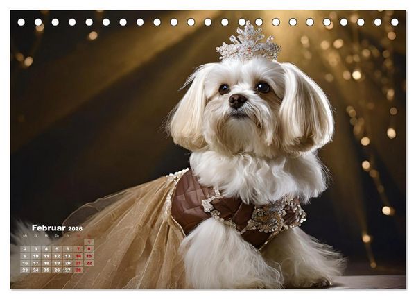 Produktbild: Kleine Hunde - Gro&szlig;e Diven (Tischkalender 2026 DIN A5 quer), CALVENDO Monatskalender