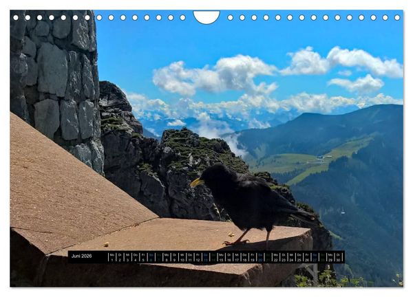 Produktbild: Rabenhafte Momente! (Wandkalender 2026 DIN A4 quer), CALVENDO Monatskalender