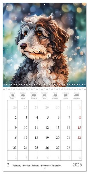 Produktbild: Hi, I am an Aussiedoodle (Wall Calendar 2026 12 &times; 12 Inch) CALVENDO 12 Month Wall Calendar