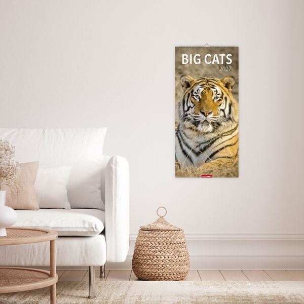 Produktbild: Big Cats Kalender 2027
