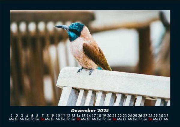 Produktbild: Tierkalender 2025 Fotokalender DIN A5