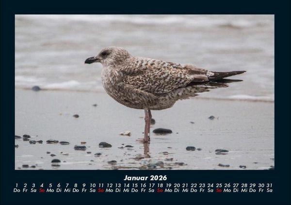 Produktbild: Vogelparadies 2026 Fotokalender DIN A4