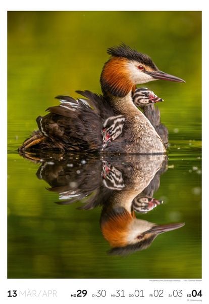 Produktbild: Natur Wochenkalender 2027
