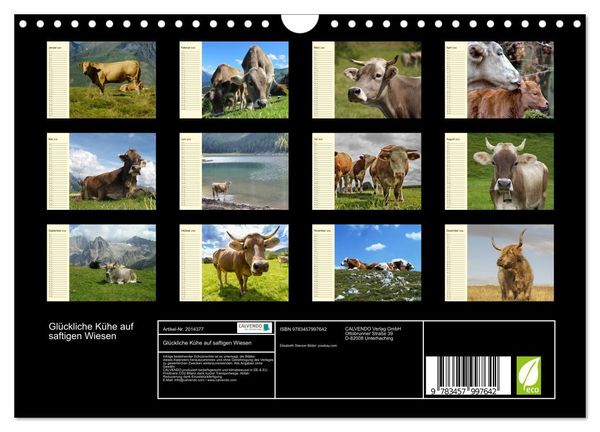 Produktbild: Gl&uuml;ckliche K&uuml;he auf saftigen Wiesen (Wandkalender 2026 DIN A4 quer), CALVENDO Monatskalender
