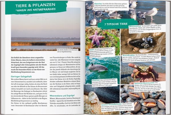 Produktbild: MARCO POLO OUTDOOR GUIDE Reisef&uuml;hrer Ostseek&uuml;ste Mecklenburg-Vorpommern