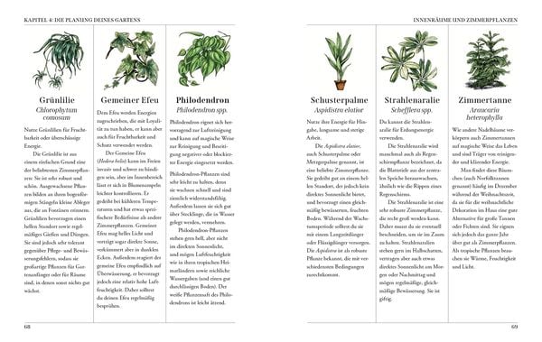 Produktbild: Der Garten der Gr&uuml;nen Magie
