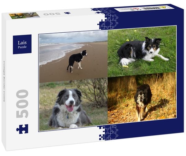 Produktbild: Lais Puzzle Collage Border Collie 500 Teile