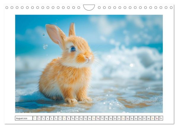 Produktbild: Lustige Hasengeschichten (Wandkalender 2026 DIN A4 quer), CALVENDO Monatskalender