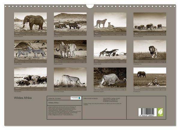 Produktbild: Wildes Afrika (Wandkalender 2026 DIN A3 quer), CALVENDO Monatskalender