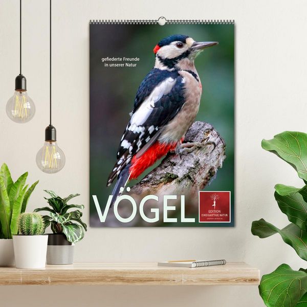 Produktbild: V&ouml;gel - gefiederte Freunde in unserer Natur (Wandkalender 2026 DIN A2 hoch), CALVENDO Monatskalender