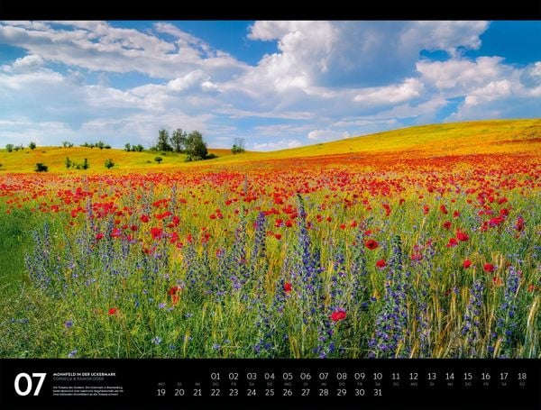 Produktbild: Naturparadies Deutschland Signature Kalender 2027