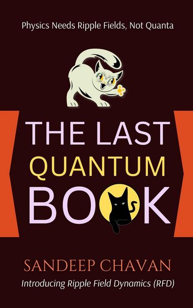 Produktbild: The Last Quantum Book