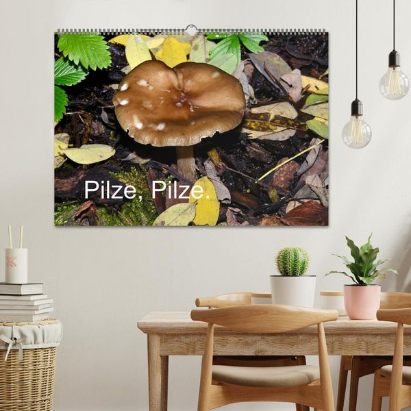Produktbild: Pilze, Pilze (Wandkalender 2026 DIN A2 quer), CALVENDO Monatskalender