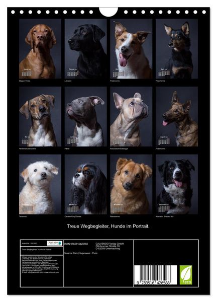 Produktbild: Treue Wegbegleiter, Hunde im Portrait. (Wandkalender 2026 DIN A4 hoch), CALVENDO Monatskalender