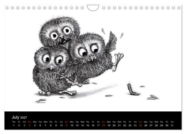 Produktbild: owls & friends 2027 (Wall Calendar 2027 DIN A4 landscape), CALVENDO 12 Month Wall Calendar