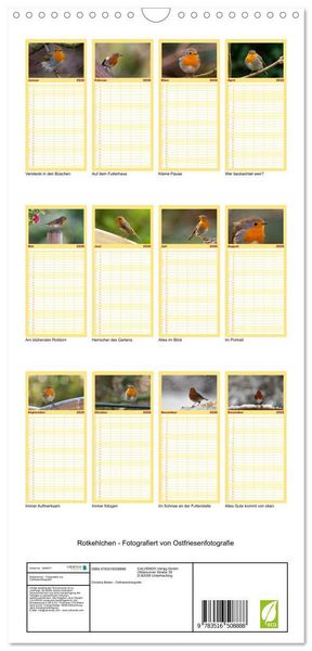 Produktbild: Familienplaner 2026 - Rotkehlchen - Fotografiert von Ostfriesenfotografie mit 5 Spalten (Wandkalender, 21 x 45 cm) CALVENDO