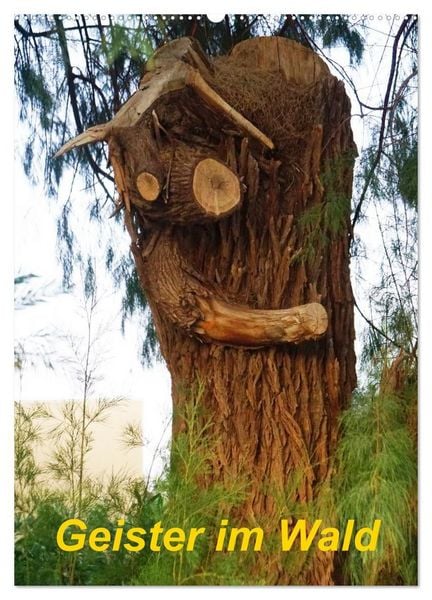 Produktbild: Geister im Wald 2027 (Wandkalender 2027 DIN A2 hoch), CALVENDO Monatskalender