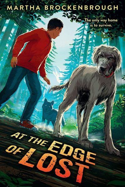Produktbild: At the Edge of Lost