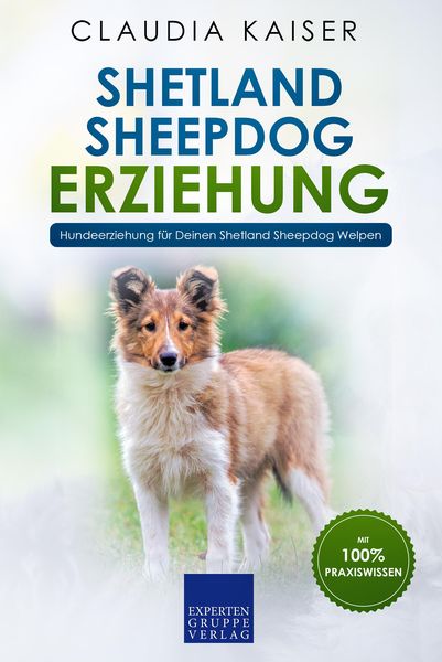 Produktbild: Shetland Sheepdog Erziehung - Hundeerziehung f&uuml;r Deinen Shetland Sheepdog Welpen