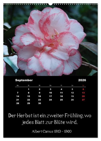 Produktbild: Spr&uuml;che und Zitate ber&uuml;hmter Personen &uuml;ber Blumen und Natur (Wandkalender 2026 DIN A2 hoch), CALVENDO Monatskalender
