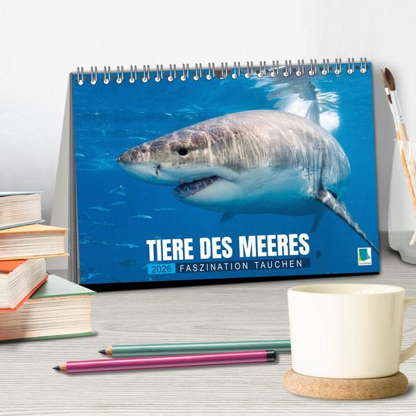 Produktbild: Tiere des Meeres: Faszination Tauchen (Tischkalender 2026 DIN A5 quer), CALVENDO Monatskalender