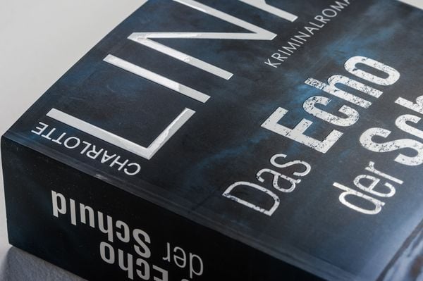 Produktbild: Das Echo der Schuld