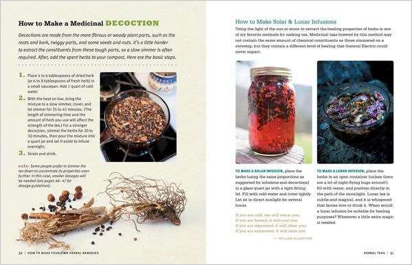 Produktbild: Rosemary Gladstar's Medicinal Herbs: A Beginner's Guide