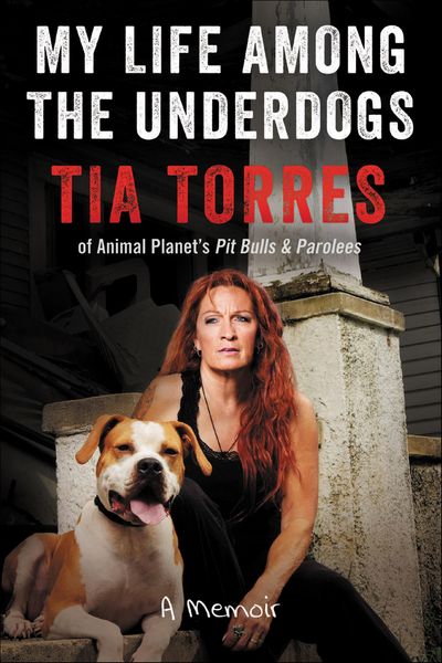 Produktbild: My Life Among the Underdogs