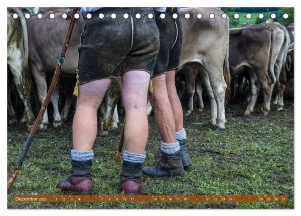 Produktbild: Allg&auml;uer Sch&ouml;nheiten Allg&auml;u - Land der K&uuml;he (Tischkalender 2026 DIN A5 quer), CALVENDO Monatskalender