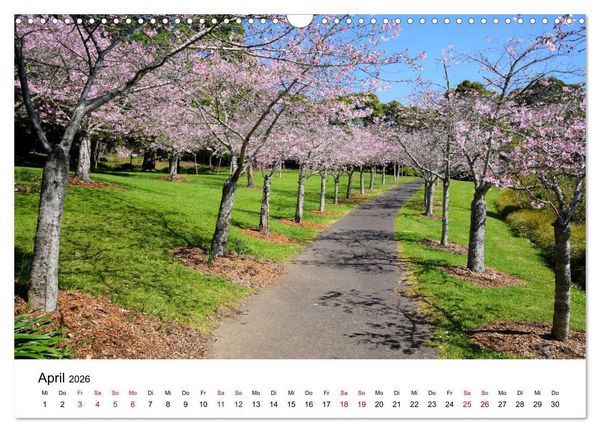 Produktbild: Auckland und Umgebung 2026 (Wandkalender 2026 DIN A3 quer), CALVENDO Monatskalender