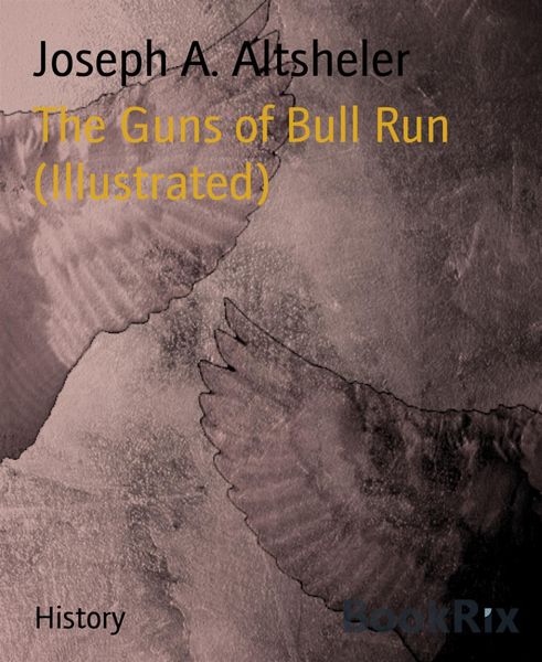 Produktbild: The Guns of Bull Run (Illustrated)