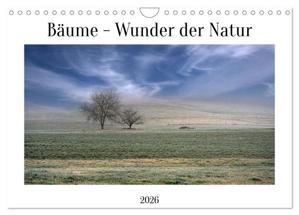 Produktbild: B&auml;ume - Wunder der Natur (Wandkalender 2026 DIN A4 quer), CALVENDO Monatskalender