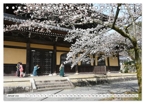 Produktbild: Die Kirschbl&uuml;te in Japan (Tischkalender 2026 DIN A5 quer), CALVENDO Monatskalender