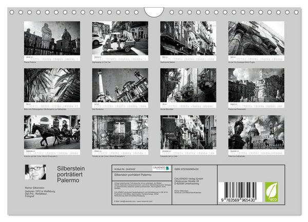 Produktbild: Silberstein portr&auml;tiert Palermo (Wandkalender 2027 DIN A4 quer), CALVENDO Monatskalender