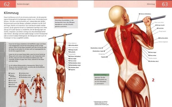 Produktbild: Das Anatomie-Buch der Fitness