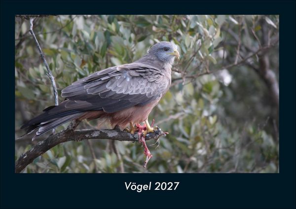 Produktbild: V&ouml;gel 2027 Fotokalender DIN A4