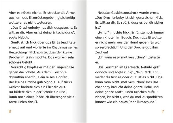 Produktbild: Retter der Drachen &ndash; Erwecke das Feuer! (Retter der Drachen 2)