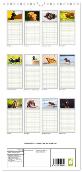 Produktbild: Familienplaner 2026 - Dackelblicke - Lassen Herzen erw&auml;rmen. mit 5 Spalten (Wandkalender, 21 x 45 cm) CALVENDO