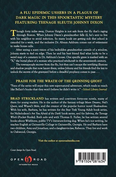 Produktbild: The Stone, the Cipher, and the Shadows