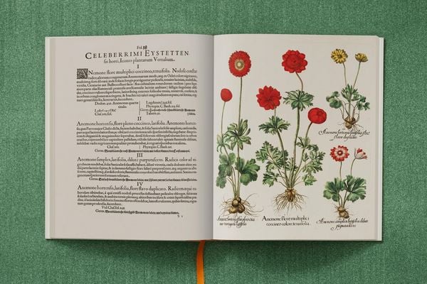 Produktbild: Basilius Besler