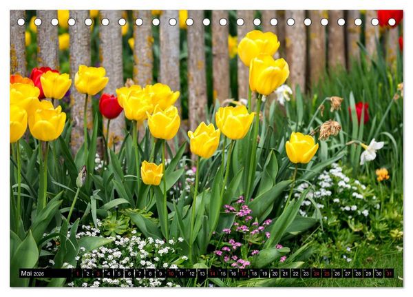 Produktbild: Kleine Blumen ganz gro&szlig; (Tischkalender 2026 DIN A5 quer), CALVENDO Monatskalender