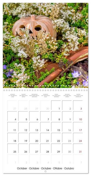 Produktbild: Harriette`s sweet garden (Wall Calendar 2027 12 &times; 12 Inch) CALVENDO 12 Month Wall Calendar