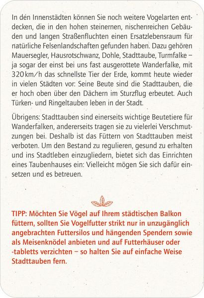 Produktbild: Blatt & Bl&uuml;te Vogelgl&uuml;ck - 50 Tipps