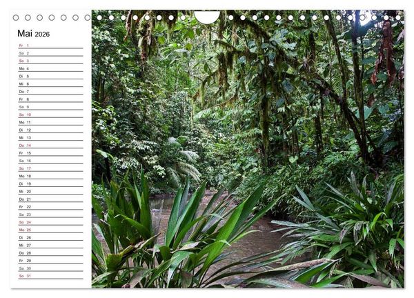Produktbild: Kolumbien Impressionen (Wandkalender 2026 DIN A4 quer), CALVENDO Monatskalender