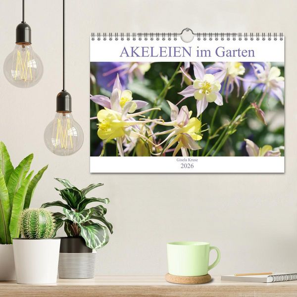 Produktbild: Akeleien im Garten (Wandkalender 2026 DIN A4 quer), CALVENDO Monatskalender