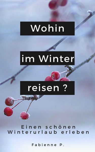 Produktbild: Wohin im Winter reisen ?