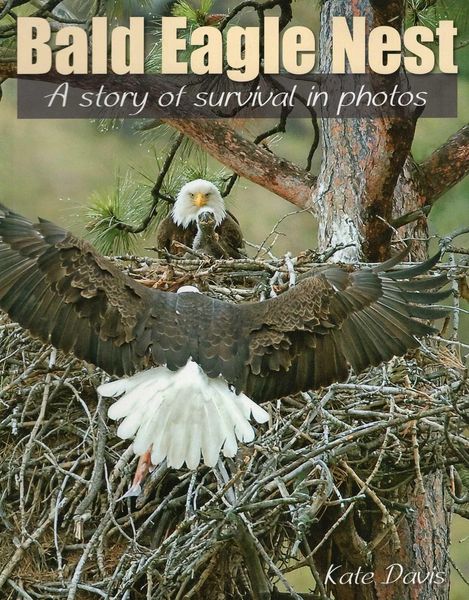 Produktbild: Bald Eagle Nest