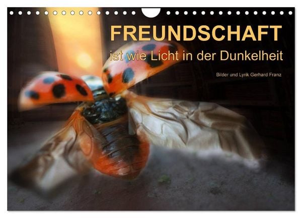Produktbild: Freundschaft (Wandkalender 2026 DIN A4 quer), CALVENDO Monatskalender